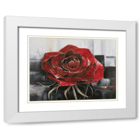 Blooming red Rose White Modern Wood Framed Art Print with Double Matting by Withaar, Rian