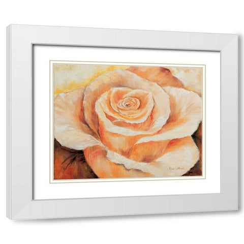Rose in detail White Modern Wood Framed Art Print with Double Matting by Withaar, Rian