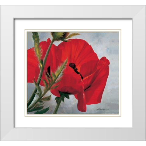The red poppy White Modern Wood Framed Art Print with Double Matting by Scholnhammer, Heinz