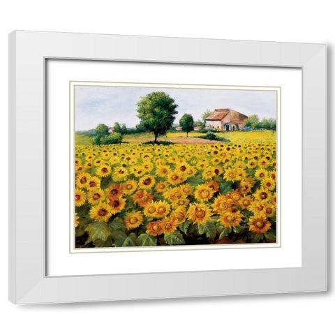 Field with sunflowers White Modern Wood Framed Art Print with Double Matting by Bosman, Johan