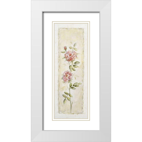 Garden delight- rose White Modern Wood Framed Art Print with Double Matting by Bonet, Julia