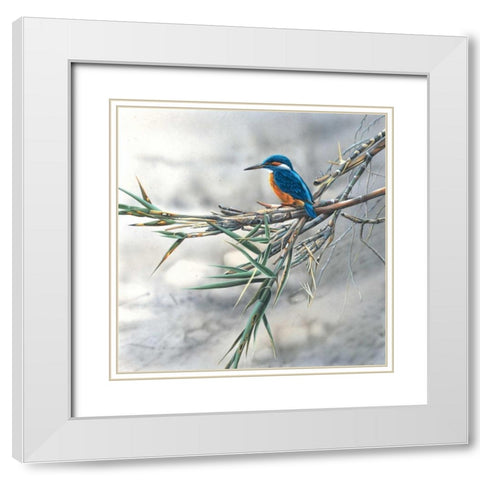 Kingfisher White Modern Wood Framed Art Print with Double Matting by Weenink, Jan