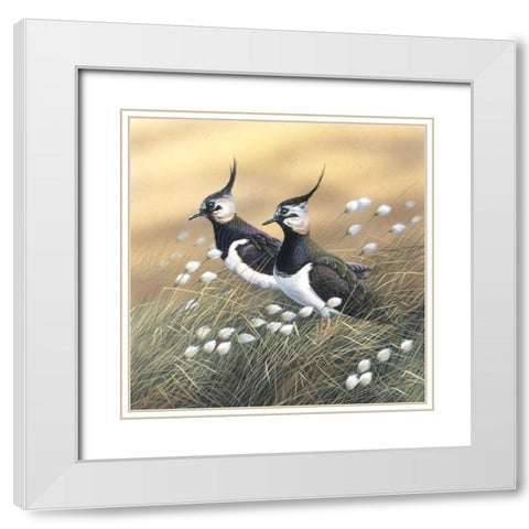 Two lapwings White Modern Wood Framed Art Print with Double Matting by Weenink, Jan