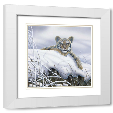 Tiger in the snow White Modern Wood Framed Art Print with Double Matting by Weenink, Jan