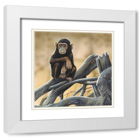 Chimpansee White Modern Wood Framed Art Print with Double Matting by Weenink, Jan