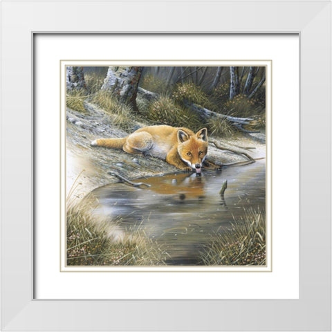 Fox drinking water White Modern Wood Framed Art Print with Double Matting by Weenink, Jan