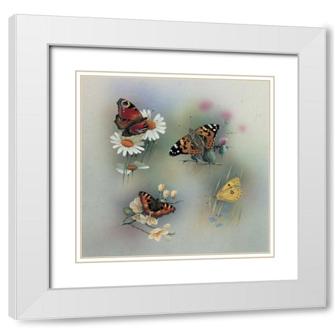 Butterfly composition White Modern Wood Framed Art Print with Double Matting by Weenink, Jan