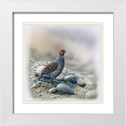Bird between stones White Modern Wood Framed Art Print with Double Matting by Weenink, Jan