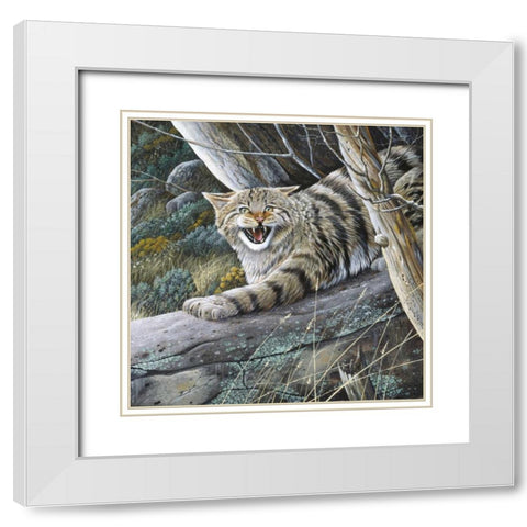 Lynx White Modern Wood Framed Art Print with Double Matting by Weenink, Jan