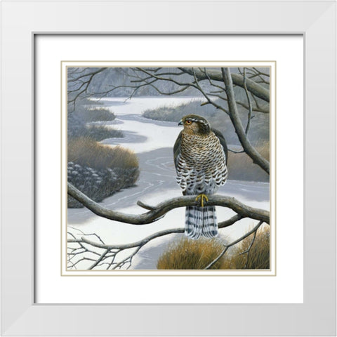 Hawk in tree White Modern Wood Framed Art Print with Double Matting by Weenink, Jan