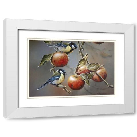 Two birds with apples White Modern Wood Framed Art Print with Double Matting by Weenink, Jan