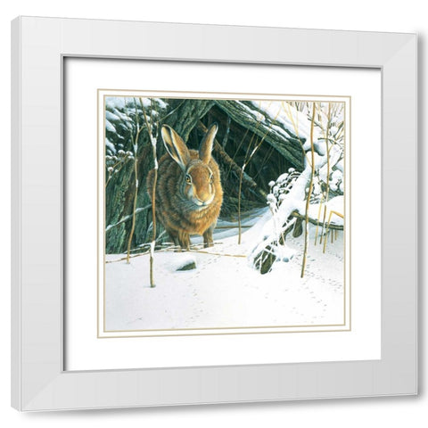 Rabbit  White Modern Wood Framed Art Print with Double Matting by Weenink, Jan