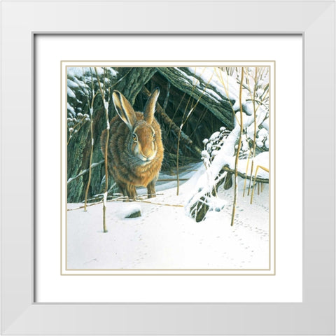 Rabbit  White Modern Wood Framed Art Print with Double Matting by Weenink, Jan