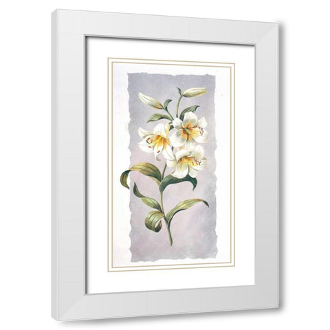 White lily White Modern Wood Framed Art Print with Double Matting by Kumorek, Krysztov