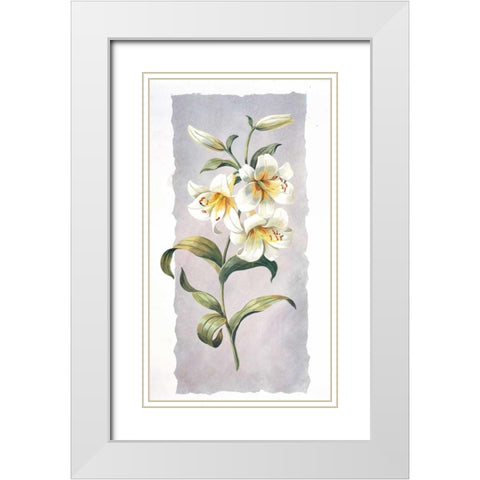 White lily White Modern Wood Framed Art Print with Double Matting by Kumorek, Krysztov