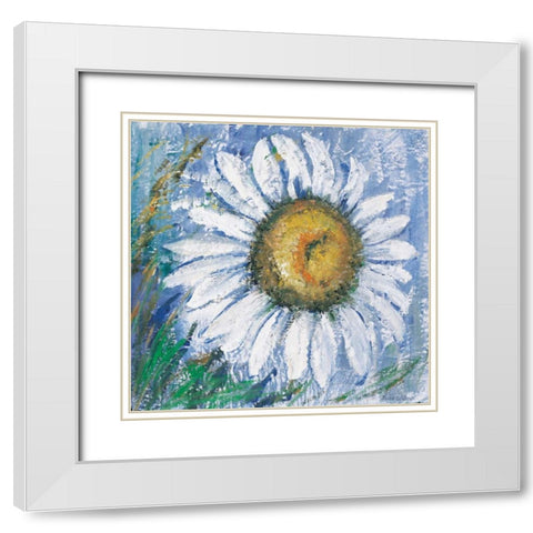 Oxeye daisy White Modern Wood Framed Art Print with Double Matting by Schottler, Katharina