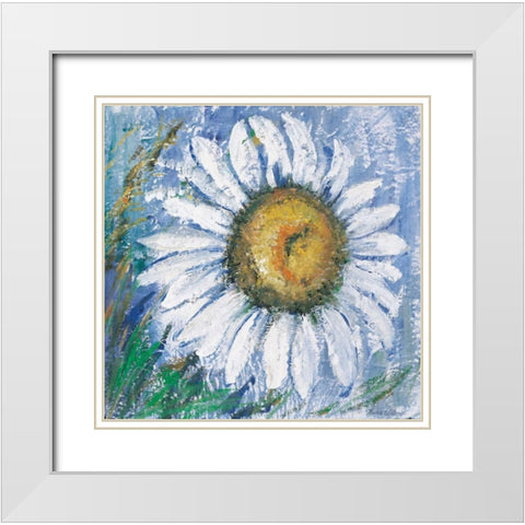 Oxeye daisy White Modern Wood Framed Art Print with Double Matting by Schottler, Katharina