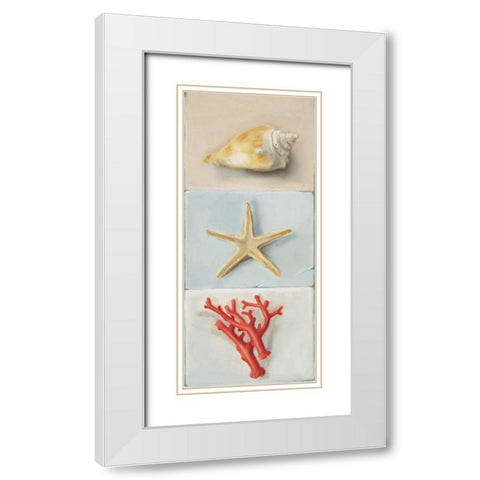 Shell selection II White Modern Wood Framed Art Print with Double Matting by du Ciel, Milieu