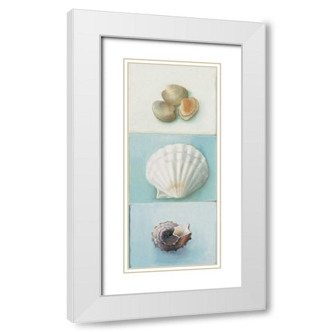 Shell selection III White Modern Wood Framed Art Print with Double Matting by du Ciel, Milieu