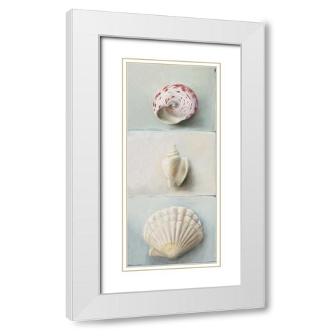 Shell selection IV White Modern Wood Framed Art Print with Double Matting by du Ciel, Milieu