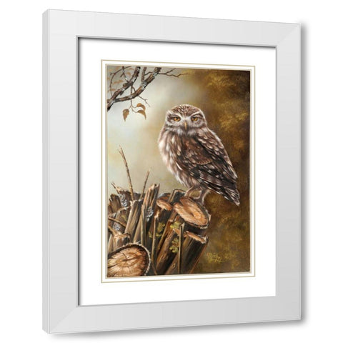 Sleeping bird White Modern Wood Framed Art Print with Double Matting by Schutte, Michel