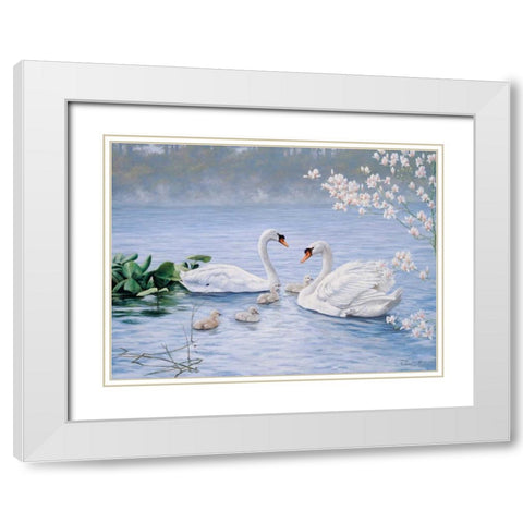 Proud swan family White Modern Wood Framed Art Print with Double Matting by Motz, Peter