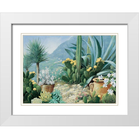 Cactus White Modern Wood Framed Art Print with Double Matting by Motz, Peter