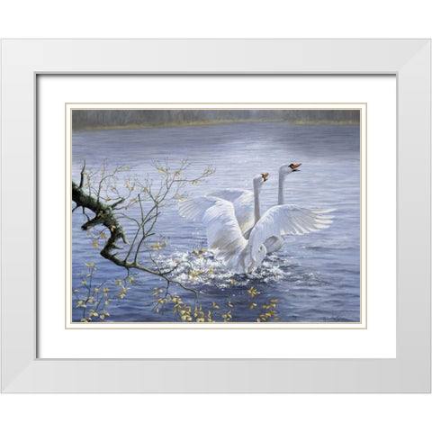 Swans White Modern Wood Framed Art Print with Double Matting by Motz, Peter