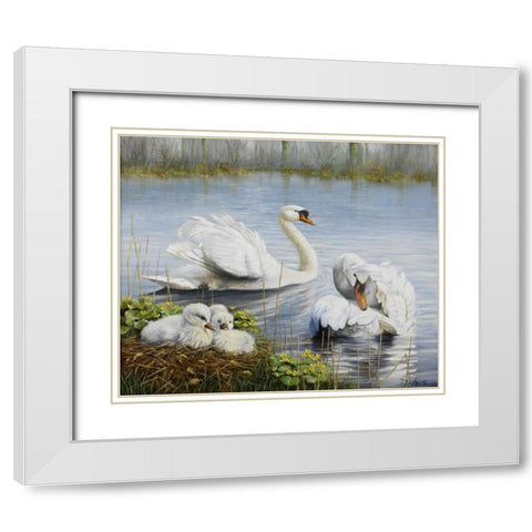 Swans White Modern Wood Framed Art Print with Double Matting by Motz, Peter