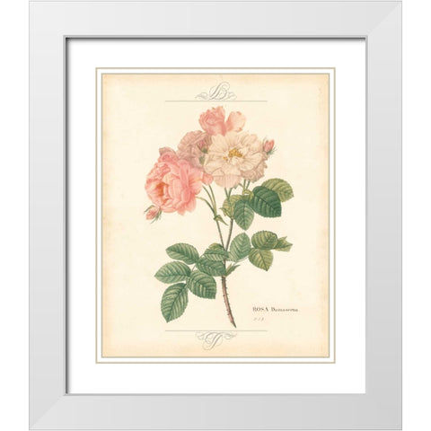 DETAILED FLORAL II White Modern Wood Framed Art Print with Double Matting by Artique Studio