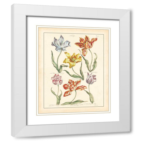 DETAILED FLORAL IV White Modern Wood Framed Art Print with Double Matting by Artique Studio