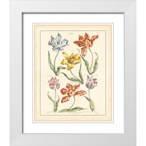 DETAILED FLORAL IV White Modern Wood Framed Art Print with Double Matting by Artique Studio