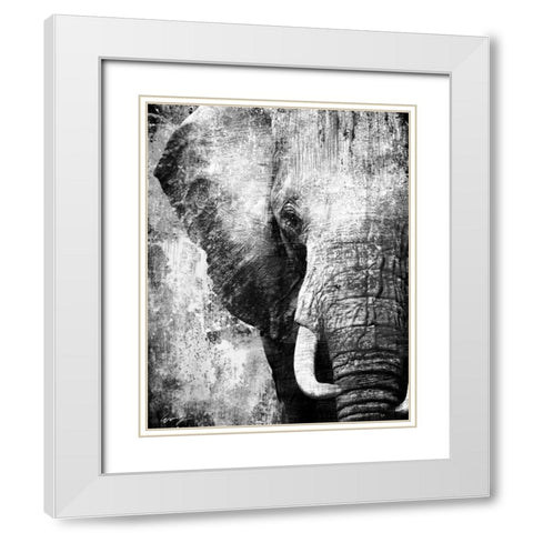 AFRICAN ANIMALS I - grey White Modern Wood Framed Art Print with Double Matting by Yang, Eric