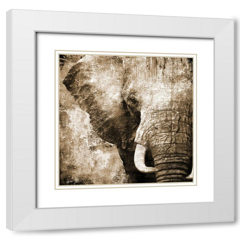 AFRICAN ANIMALS I - sepia White Modern Wood Framed Art Print with Double Matting by Yang, Eric
