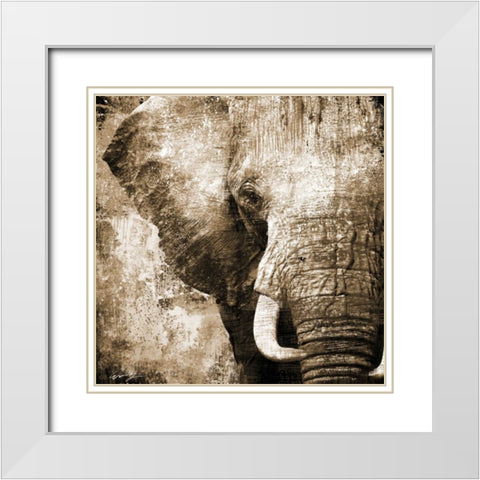 AFRICAN ANIMALS I - sepia White Modern Wood Framed Art Print with Double Matting by Yang, Eric