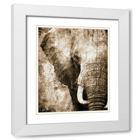 AFRICAN ANIMALS I - sepia White Modern Wood Framed Art Print with Double Matting by Yang, Eric