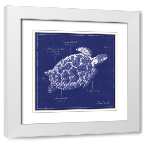 BLUEPRINT SEA TURTLE White Modern Wood Framed Art Print with Double Matting by Ballantyne, Piper