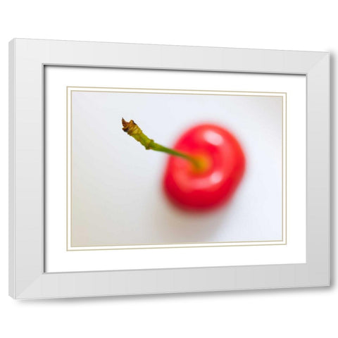 Close-up of cherry, studio shot White Modern Wood Framed Art Print with Double Matting by Frank, Assaf