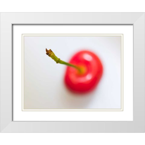 Close-up of cherry, studio shot White Modern Wood Framed Art Print with Double Matting by Frank, Assaf