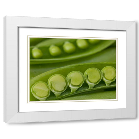 sugar snap peas pods close up White Modern Wood Framed Art Print with Double Matting by Frank, Assaf