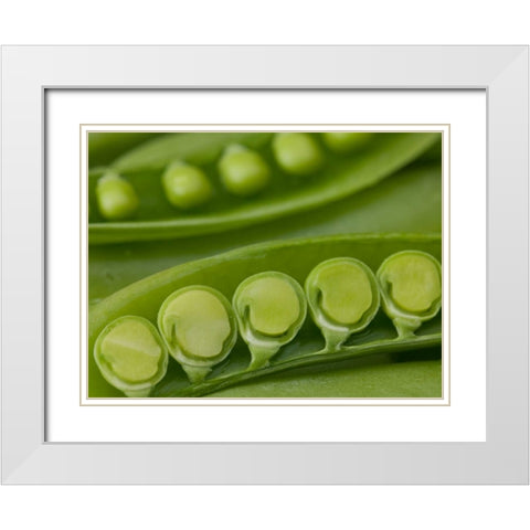 sugar snap peas pods close up White Modern Wood Framed Art Print with Double Matting by Frank, Assaf