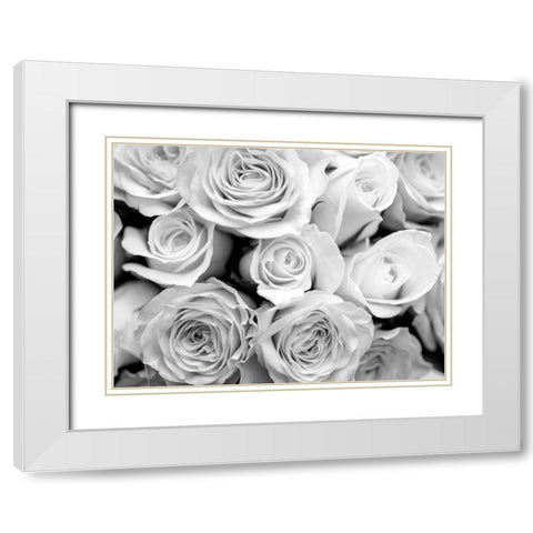 Bunch of roses White Modern Wood Framed Art Print with Double Matting by Frank, Assaf