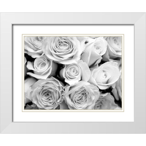 Bunch of roses White Modern Wood Framed Art Print with Double Matting by Frank, Assaf