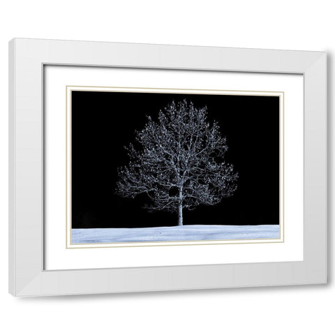 Single tree against skies in snow White Modern Wood Framed Art Print with Double Matting by Frank, Assaf
