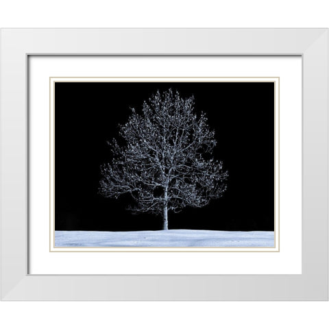 Single tree against skies in snow White Modern Wood Framed Art Print with Double Matting by Frank, Assaf