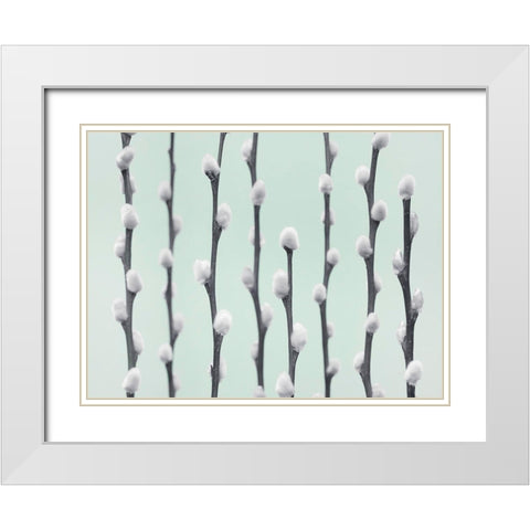 Pussy Willow twigs White Modern Wood Framed Art Print with Double Matting by Frank, Assaf