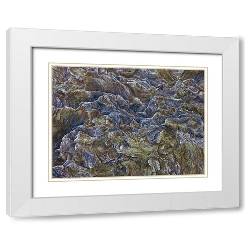 Frosty rock surface White Modern Wood Framed Art Print with Double Matting by Frank, Assaf