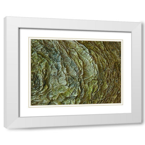 Frosty rock surface White Modern Wood Framed Art Print with Double Matting by Frank, Assaf