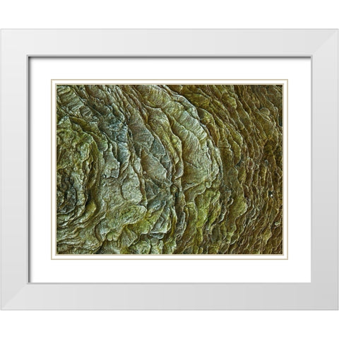 Frosty rock surface White Modern Wood Framed Art Print with Double Matting by Frank, Assaf