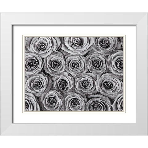 Background of roses White Modern Wood Framed Art Print with Double Matting by Frank, Assaf